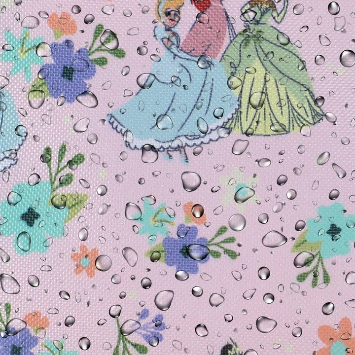 Bioworld Merchandising - Wholesale Pencil Case/Pouch - Disney Princesses Dual-Compartment Utility Case With Webbing Pull Handle5