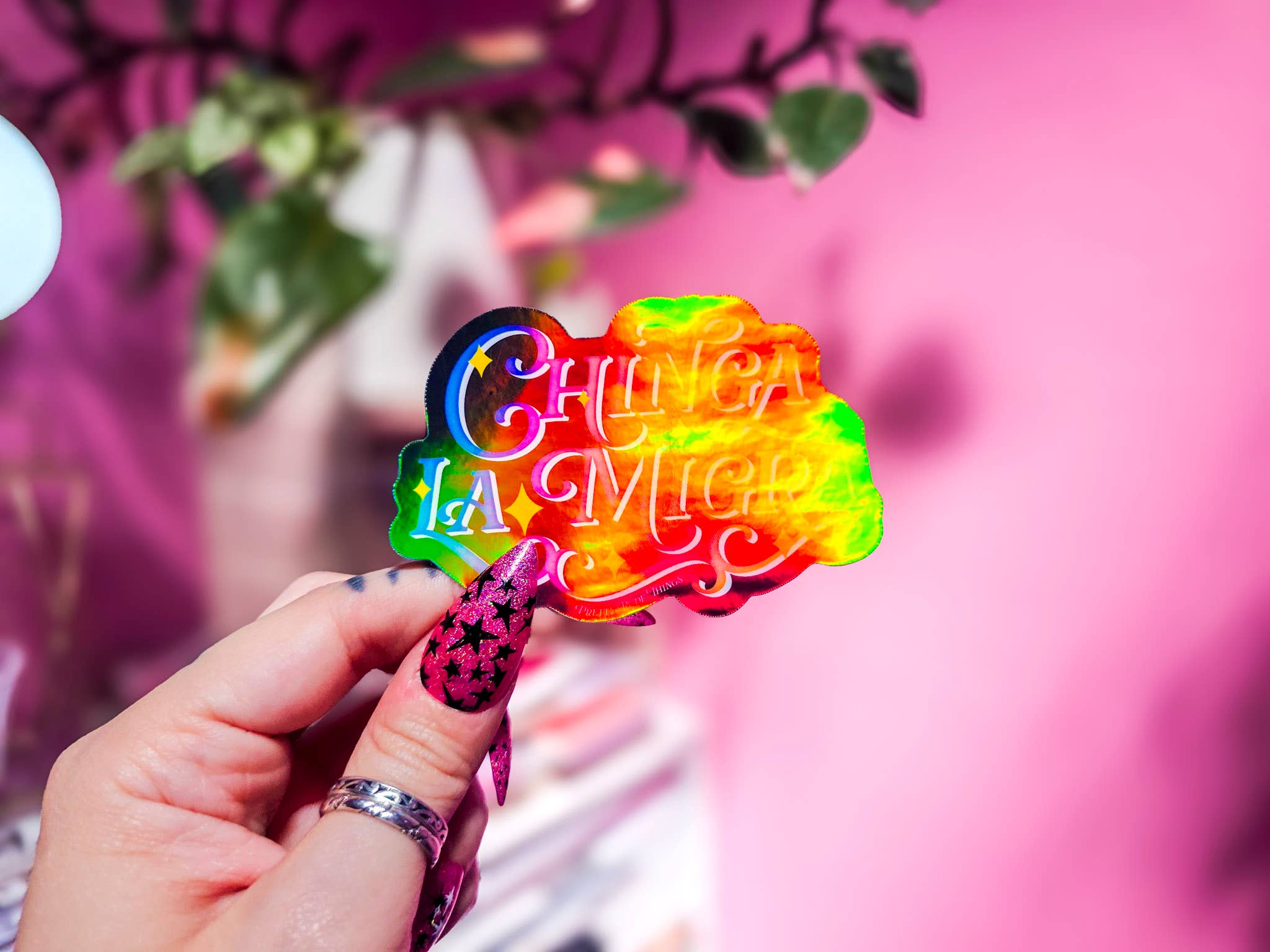 Pretty Rude Things - Wholesale Sticker - Chinga La Migra, F*ck ICE, Pro Immigration Sticker6