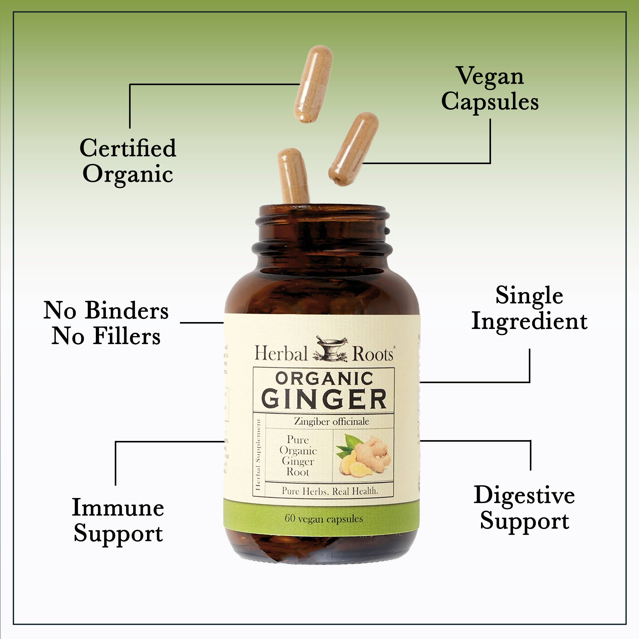 Herbal Roots – wholesale Oral supplement/vitamin – Herbal Roots Organic Ginger Root Capsules3