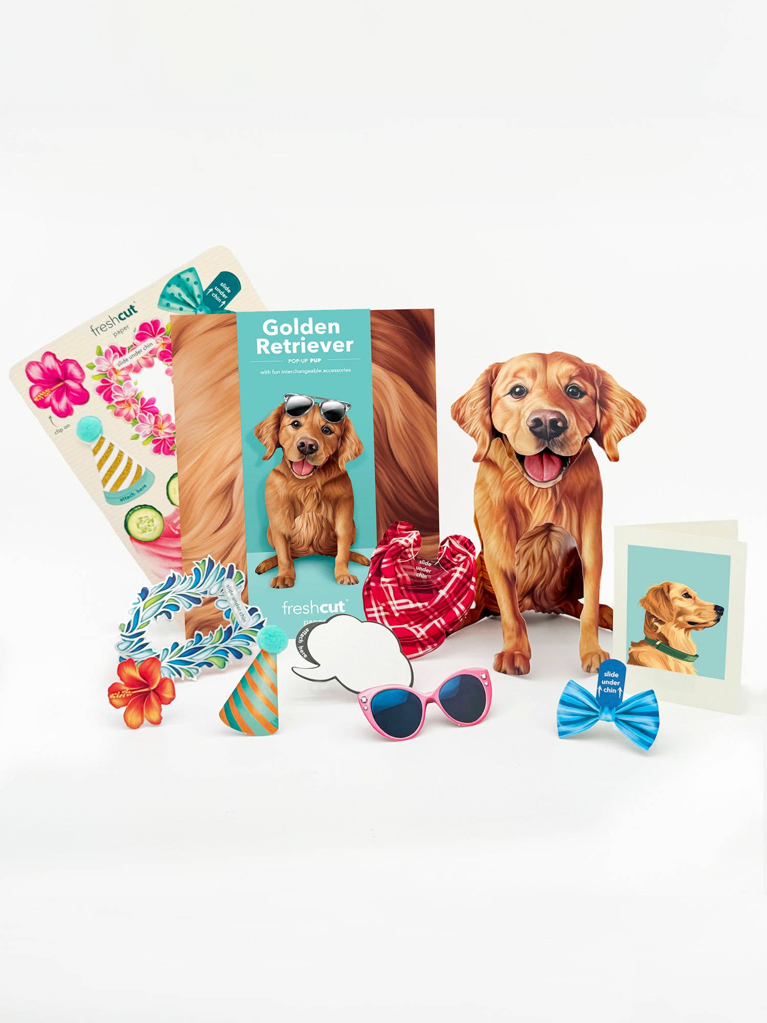 FreshCut Paper LLC – Großhandel Grußkarten für den Alltag – Golden Retriever (6 Pop-up Grußkarten)3