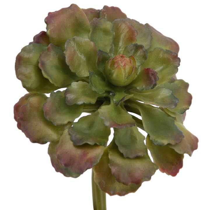 Floratexx - Wholesale Artificial Flowers - Succulent plant 17 cm green