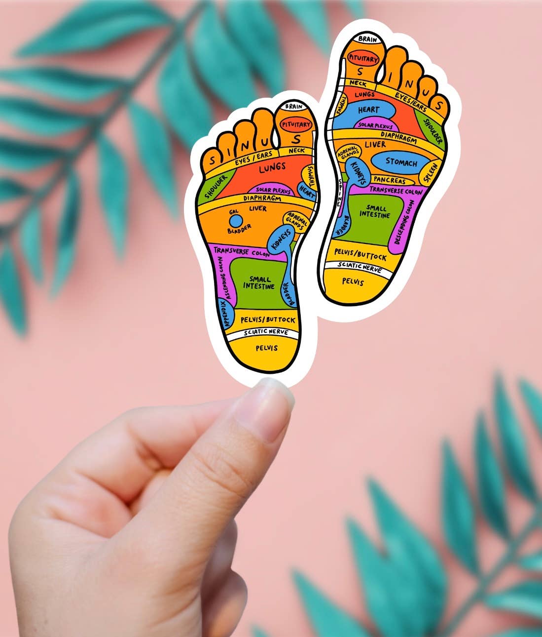 EnchantingSunshine - Wholesale Sticker - Reflexology Sticker0