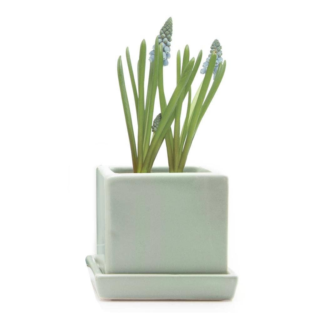 Chive - Wholesale Plant Pot - Cube Pot With Saucer And Drainage Hole 60 Plus Colors9
