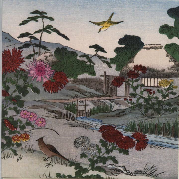 FANGE 12X12 DOPPELKARTEN NC 32187 (A) für den Großhandel von Phenicia