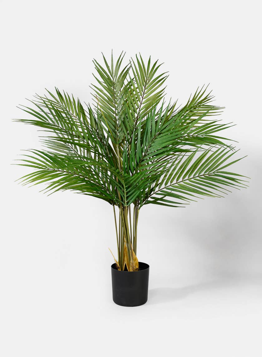 Jamali Garden - Wholesale Artificial Plant - 28 in Hawaii Kwai - Palm Tree