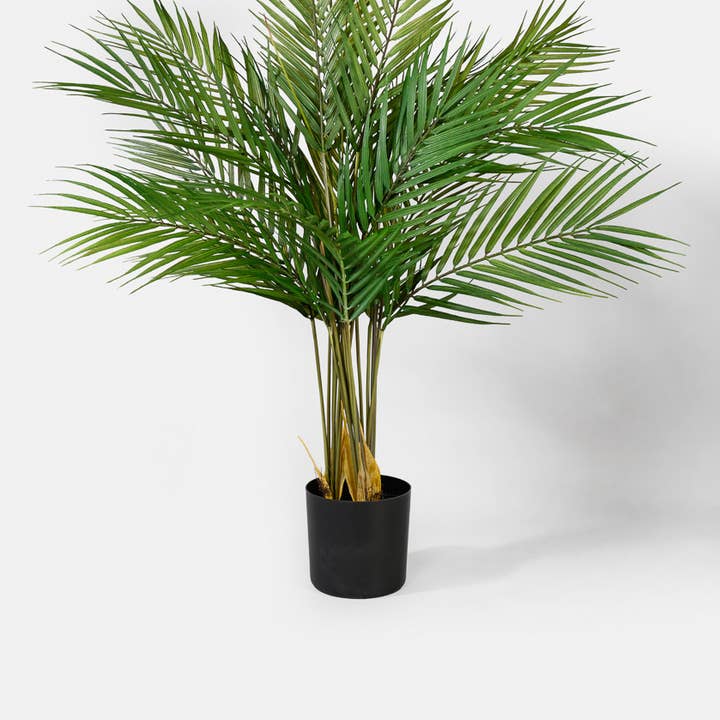 Jamali Garden - Wholesale Artificial Plant - 28 in Hawaii Kwai - Palm Tree0