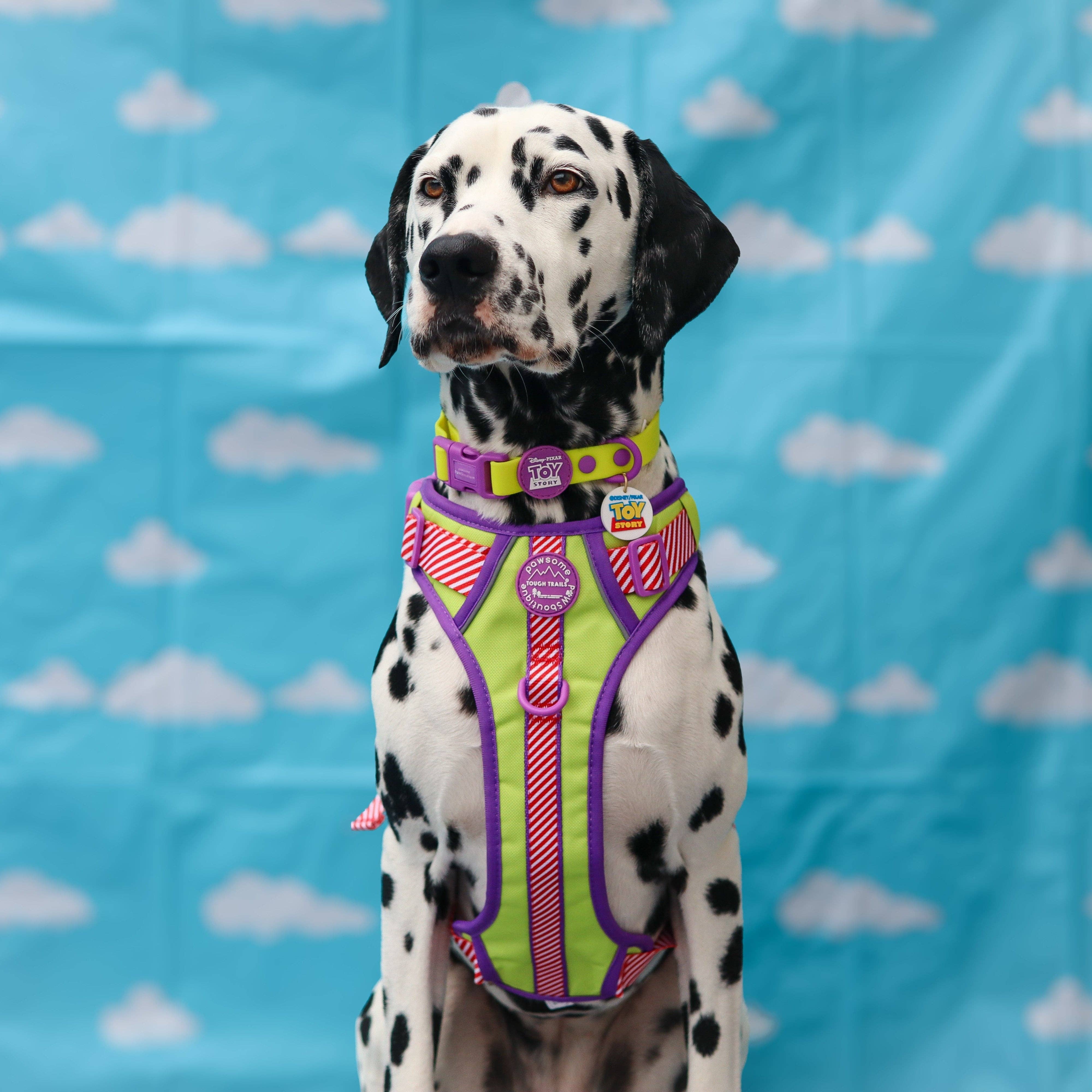 Pawsome Paws – Engroshandel Vedhæng til halsbånd - Kat/hund – Disney© Halsbånd/Line Charm - Toy Story4