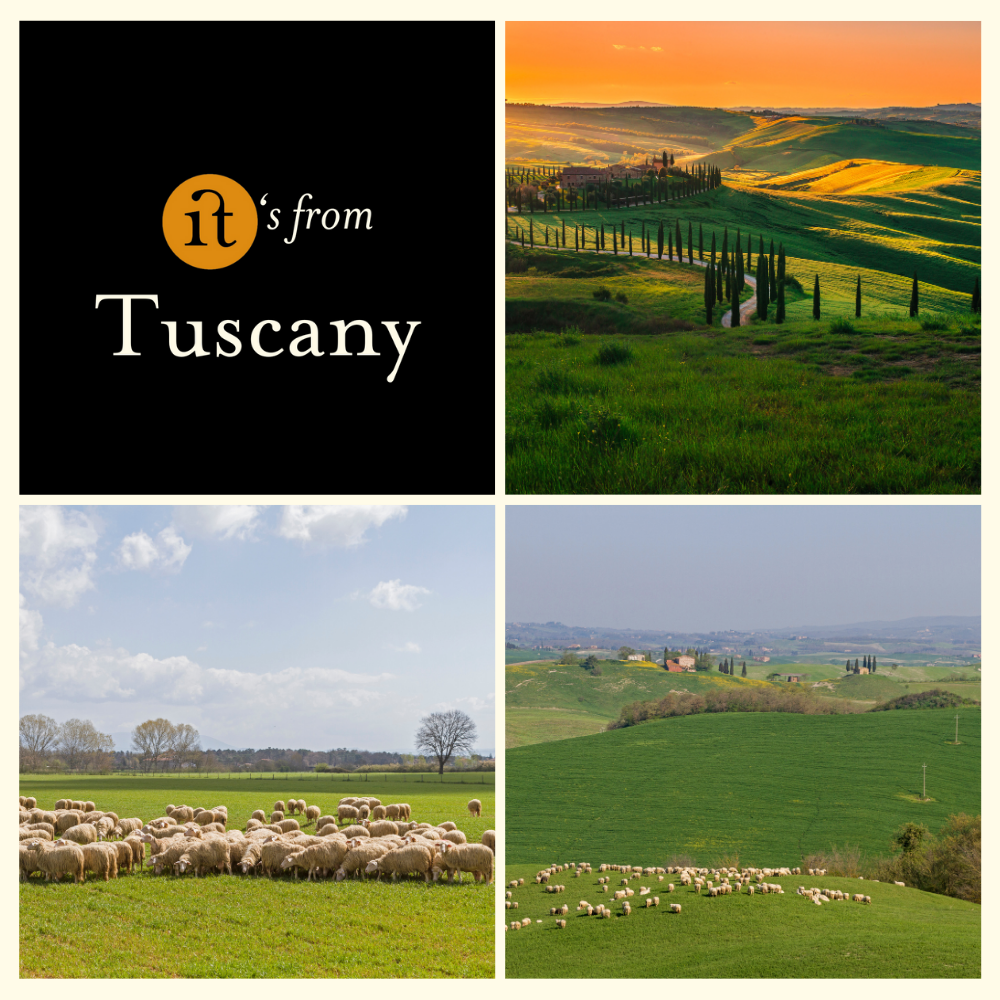 Gourm.it - Wholesale Cheese - Truffle Pecorino 400g. Intense and fragrant. Tuscany.3