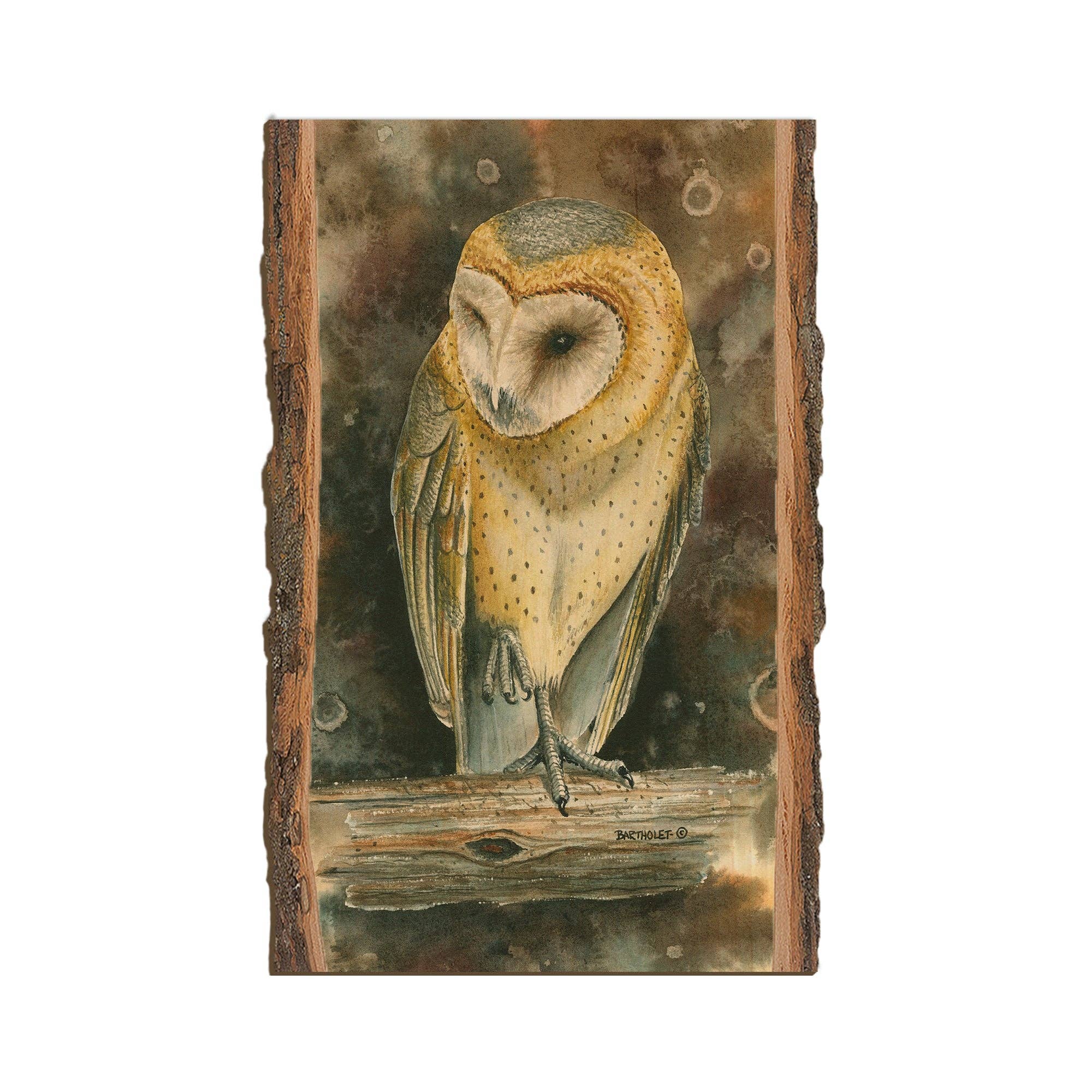 DaydreamHQ - Wholesale Art Print - Bartholet's Barn Owl  - Live Edge4