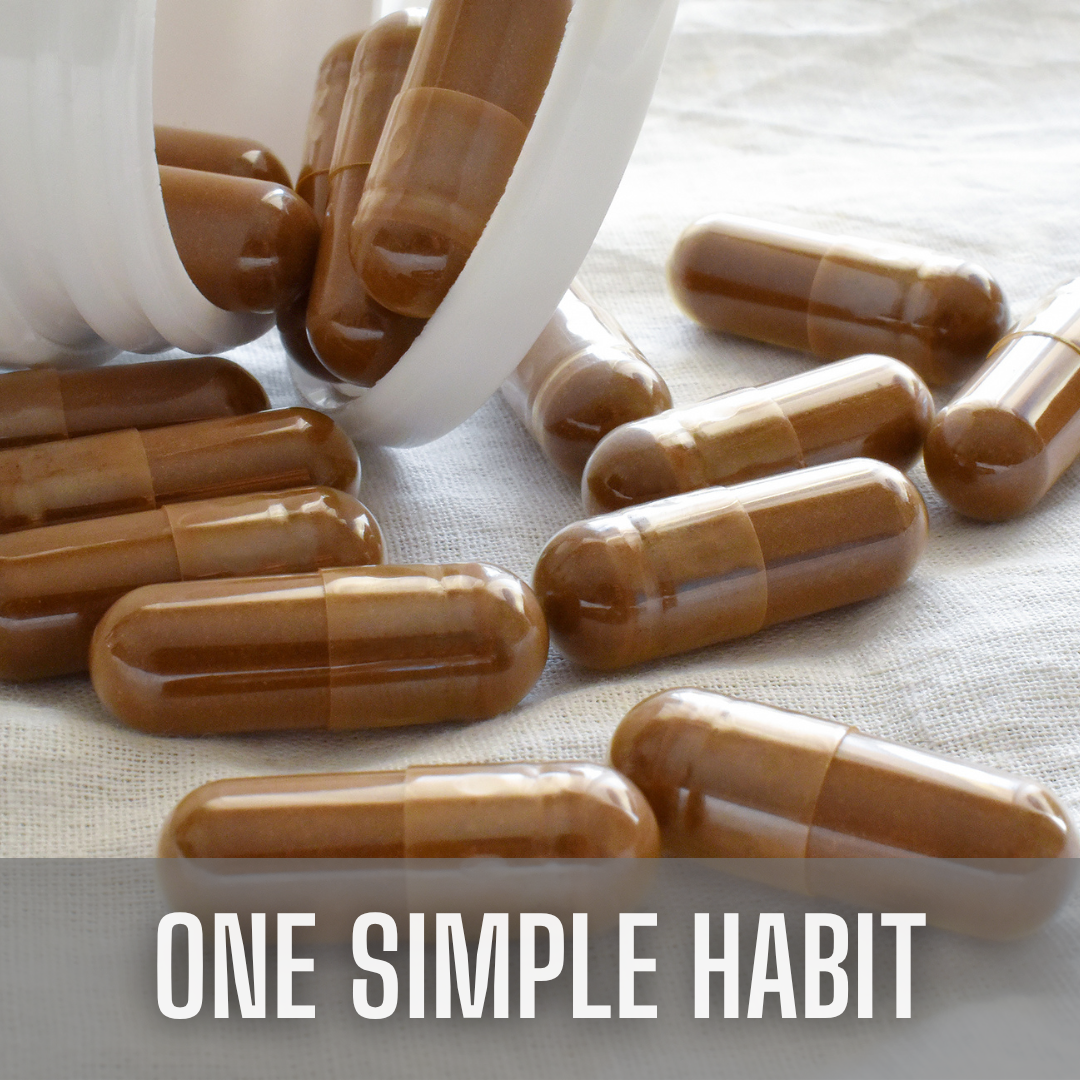 Lone Star Botanicals - Vente Poudres protéinées/superaliments - Gélules de poudre de champignon vitalité totale biologique -- 60 unités2