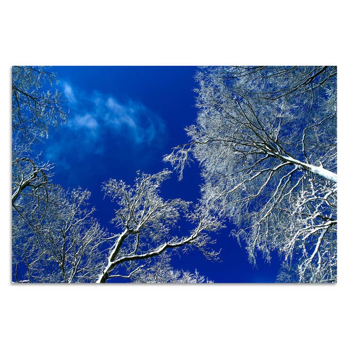 Winter Wonderland by Torsten Reuter for wholesale by Queence