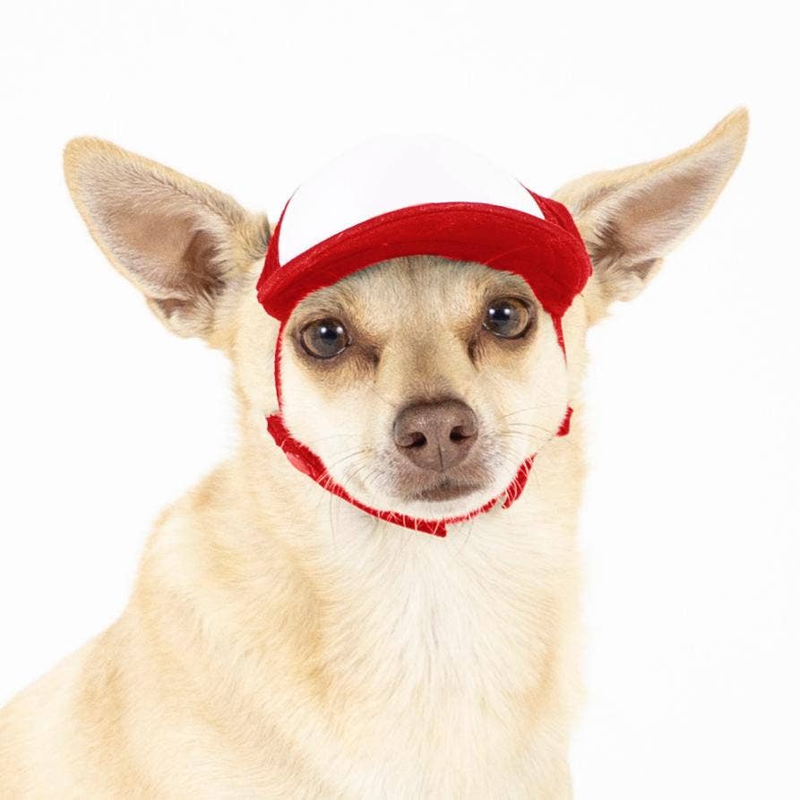 PupLid – wholesale Hatt - Hund – Blank Foam truckerkeps för hundar1