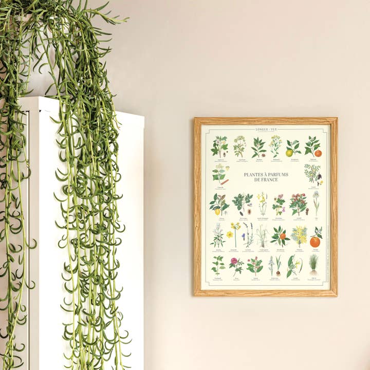 Longue-vue - Wholesale Poster - Fragrant Plants of France - Poster1