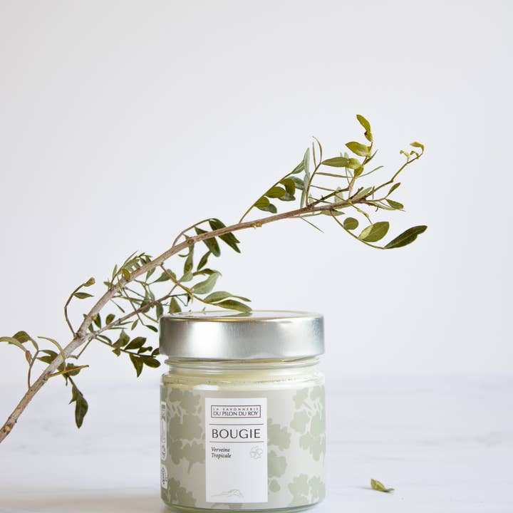 La Savonnerie du Pilon du Roy - Vendita all'ingrosso Candela in vasetto - Bougie Verveine Tropicale 160g