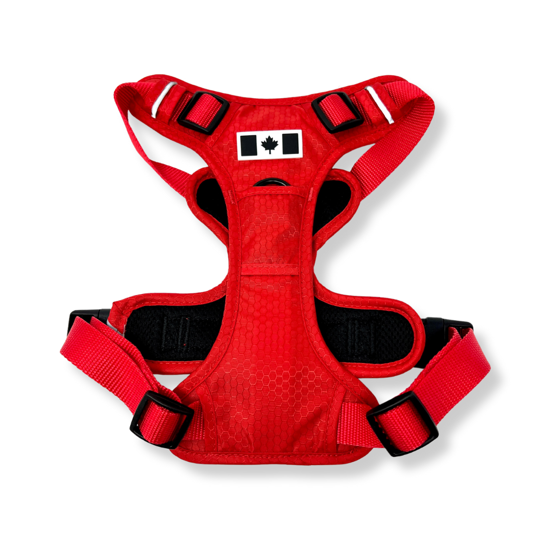 Rocky Mountain Dog - Wholesale Pet Harness - Dog - All-Terrain Dog Harness – Summit, No-Pull12