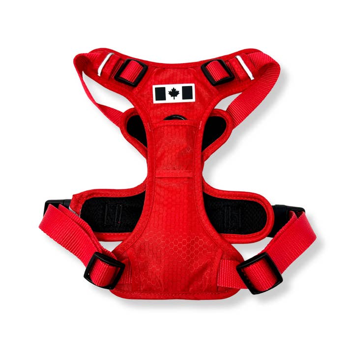 Rocky Mountain Dog - Wholesale Pet Harness - Dog - All-Terrain Dog Harness – Summit, No-Pull12