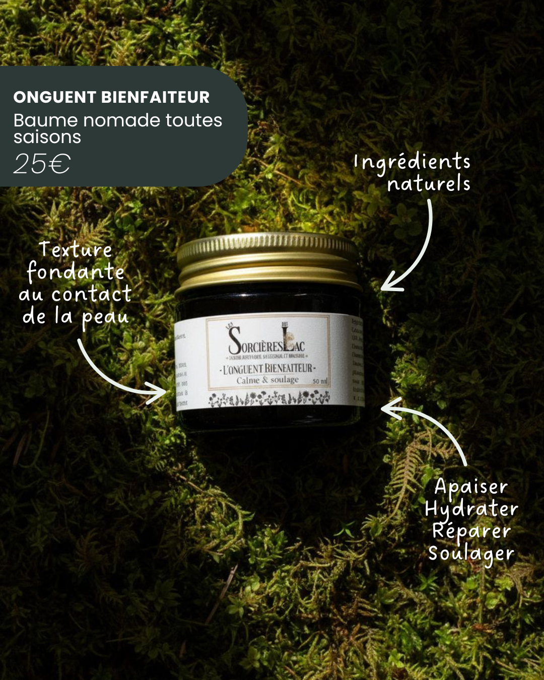 Les sorcières du lac - Wholesale Healing Salve/Balm/Cream - Beneficial Ointment - For Everyday Aches and Pains0