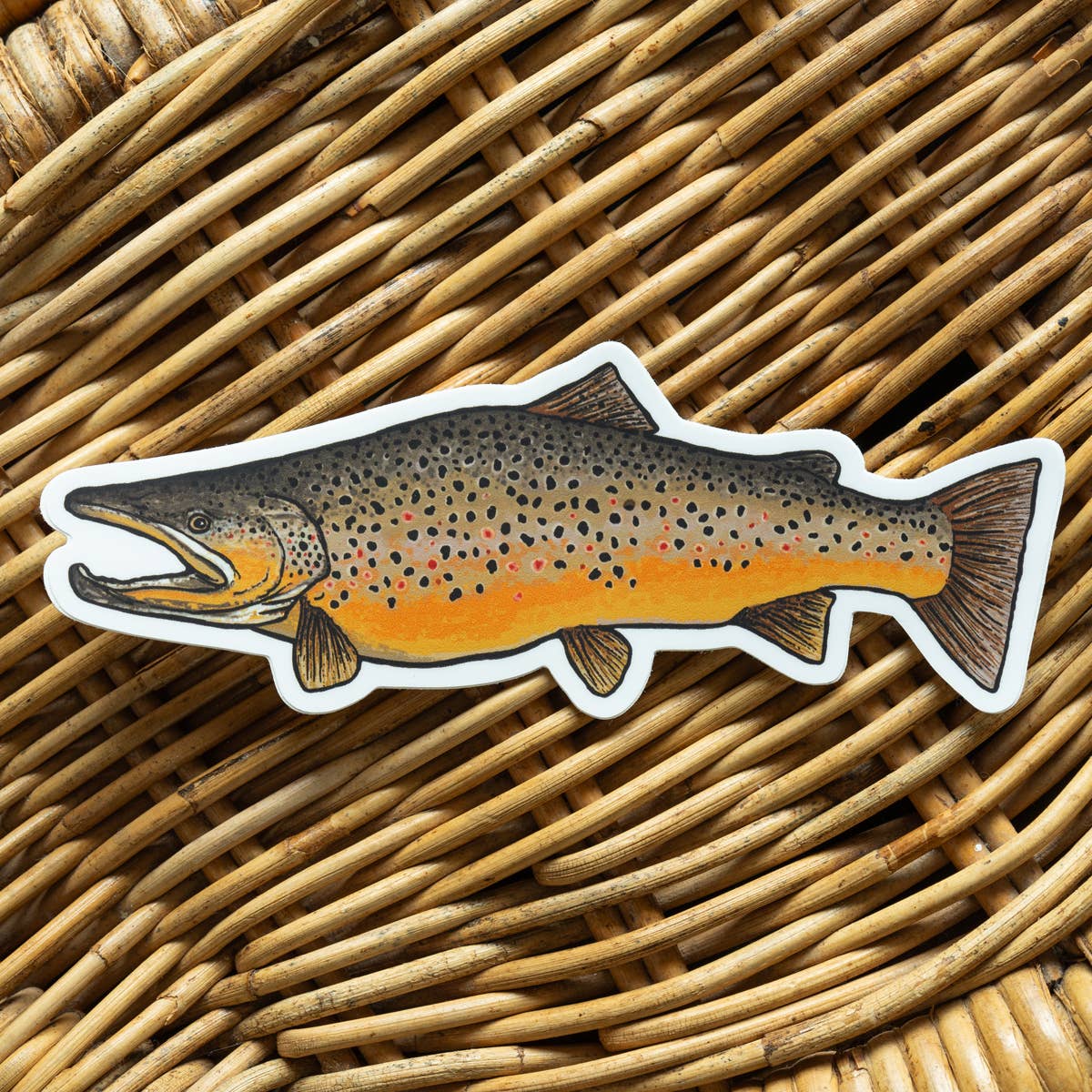 BruleBay - Wholesale Sticker - Brown Trout Fish Sticker Decal1