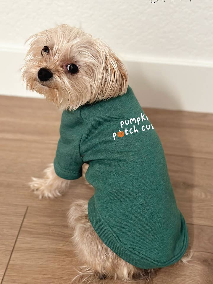 PUMPKIN PATCH CUTIE Pet Graphic Sweatshirt. for wholesale by OAT COLLECTIVE