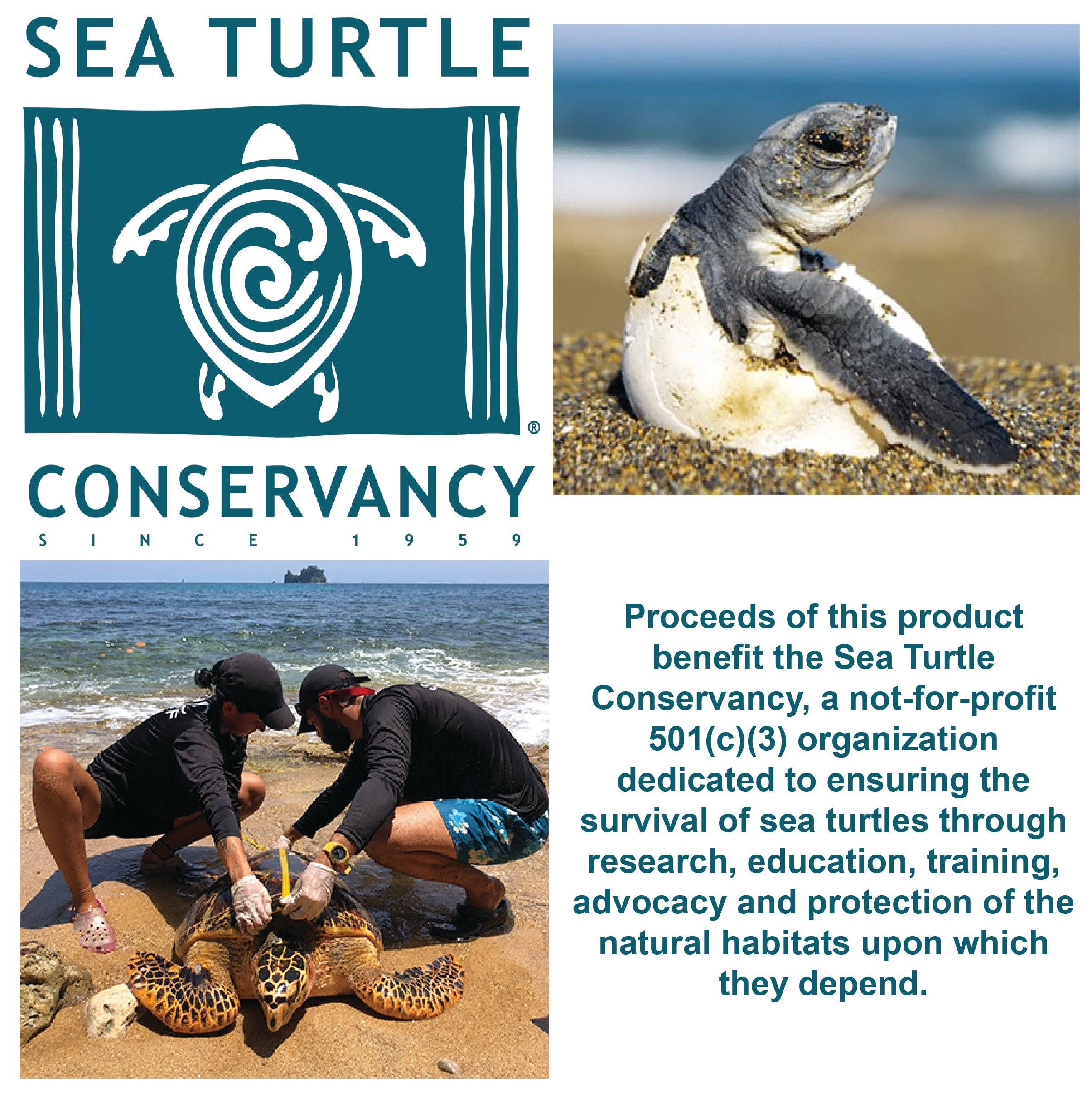 Call For The Wild - Wholesale Retailer Display - Kids & Baby - Sea Turtle Hatchling Point of Sale Display7