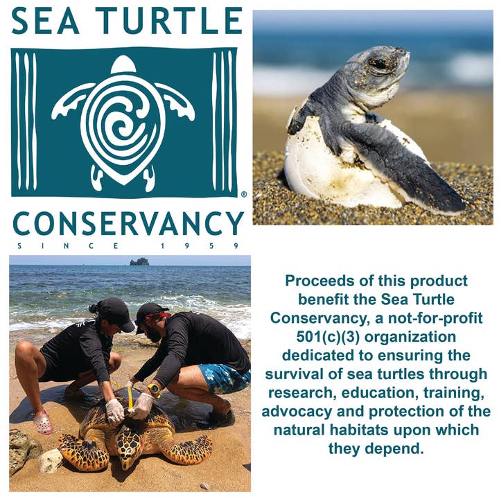 Call For The Wild - Wholesale Retailer Display - Kids & Baby - Sea Turtle Hatchling Point of Sale Display7