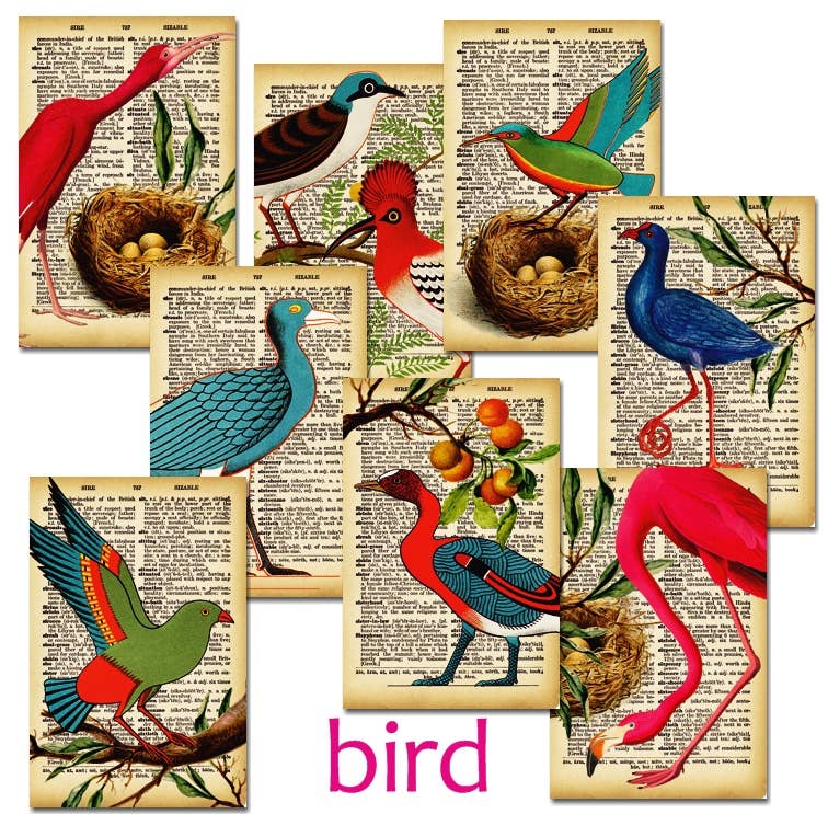 DECORER - Wholesale Gift Tag - Bird - Gift Tag Set 24 pcs0