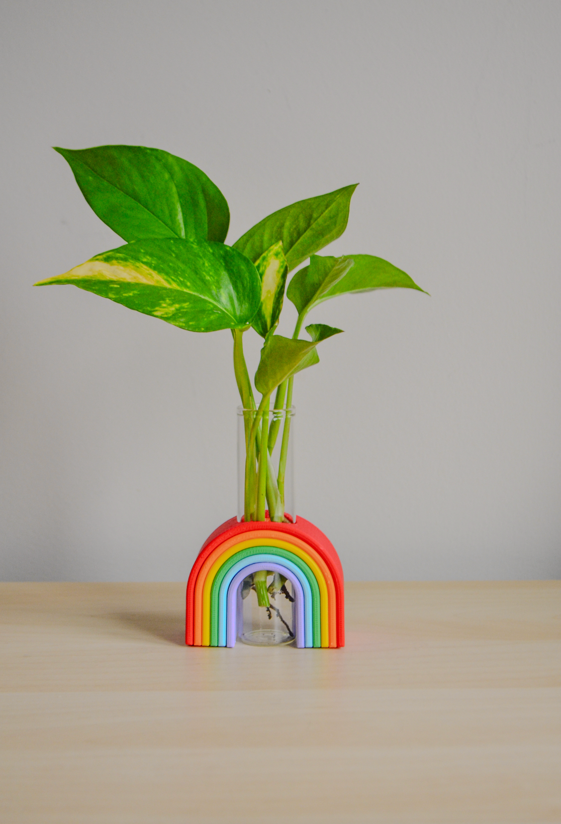 LindaMakess - Wholesale Vaas - Regenboog Knopvaas - Vernieuwd Ontwerp4