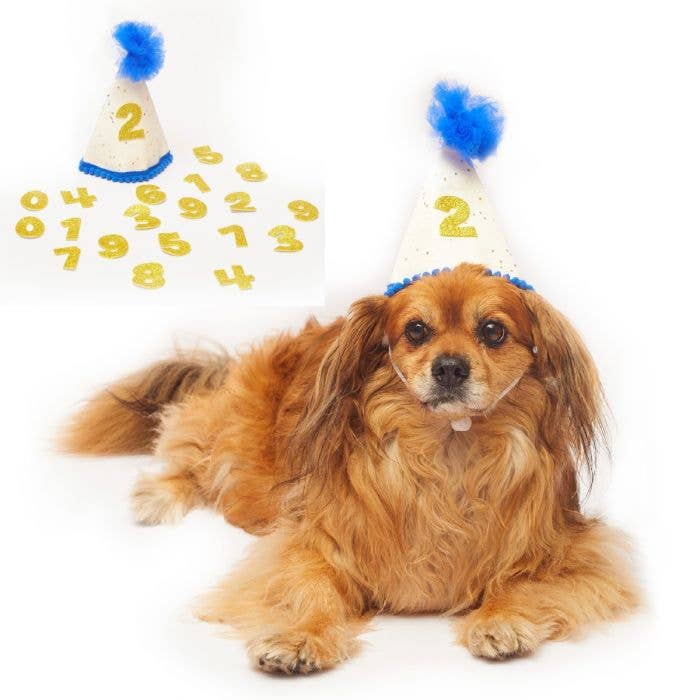 PetLondon – wholesale Pet hat – Dog – Royal Blue Custom Happy Birthday Party Hat0