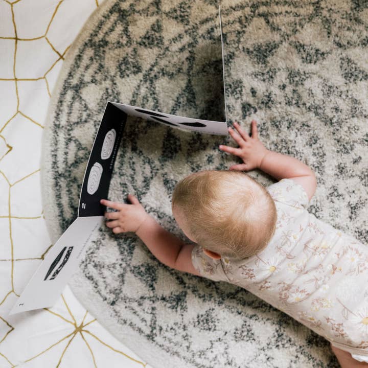 Tummy Time Accordion Cards for Baby — Foodie for wholesale by Gotamago