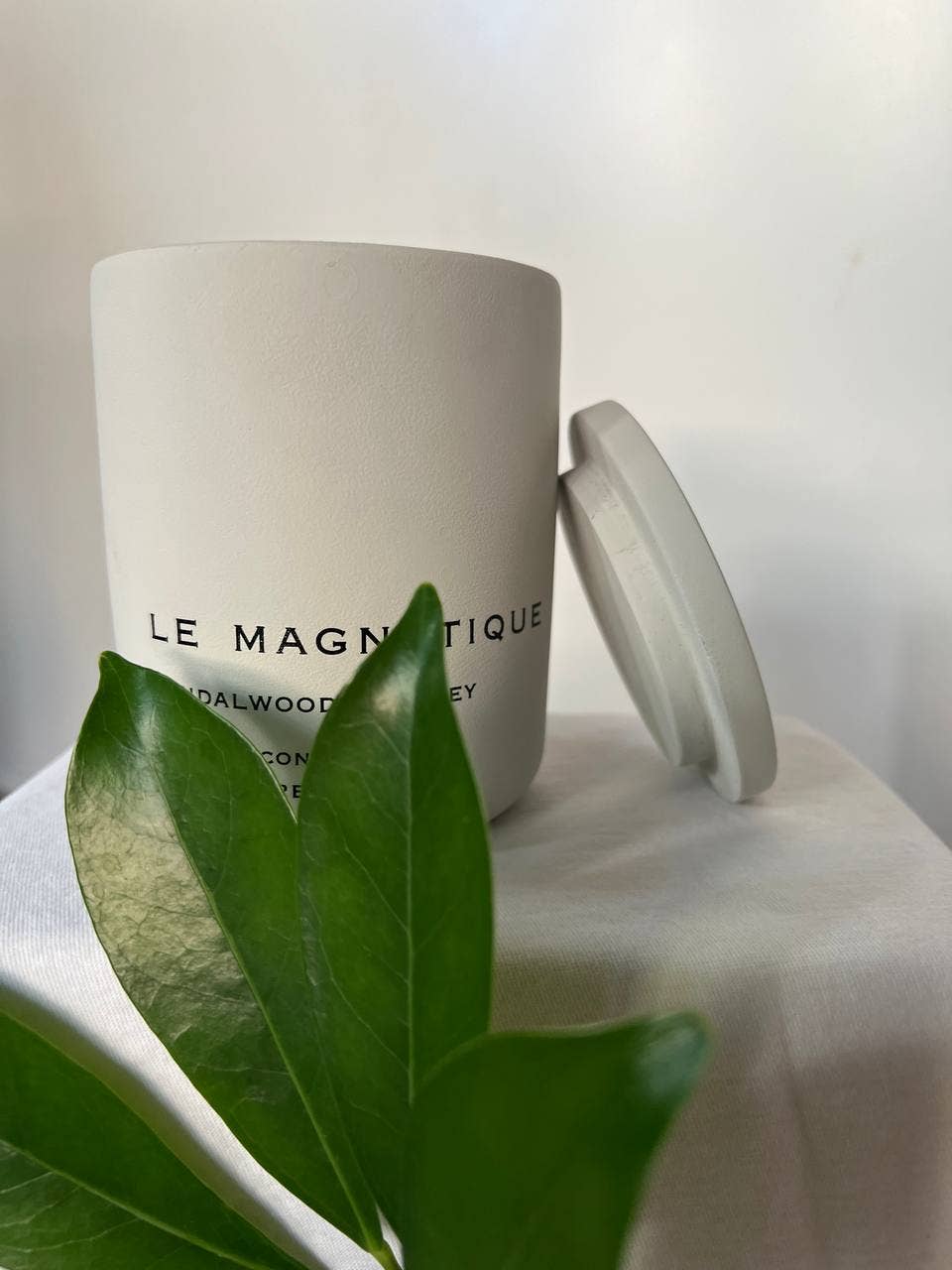 Le Magnetique - Wholesale Jar/Filled Candle - Le Magnétique Candles | Vegan Coconut Soy Wax4