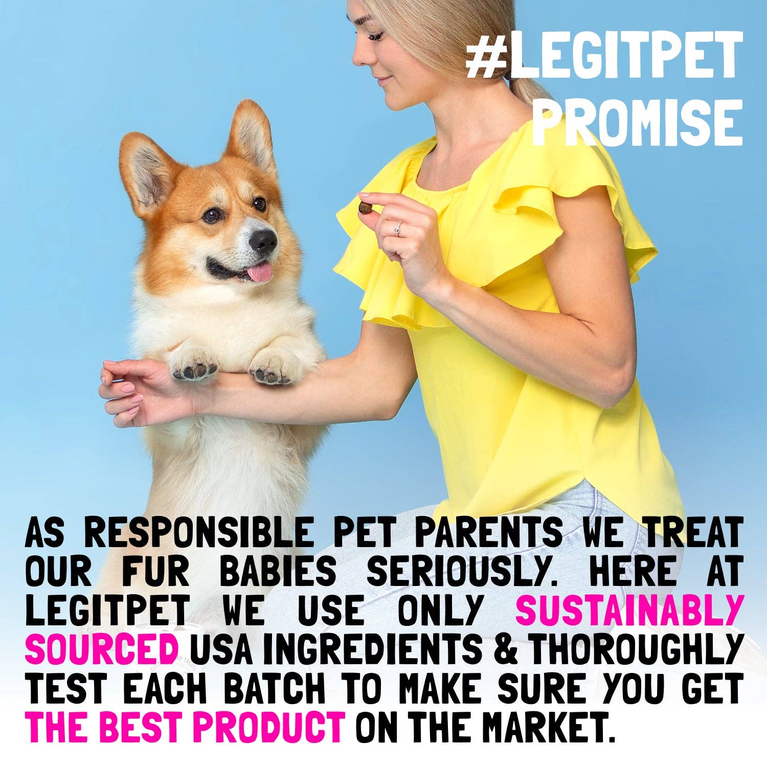 LEGITPET - Wholesale Pet Supplement - Dog - Omega 3 Alaskan Salmon Oil Treats for Dogs Fish Oil Chew Supplement Skin and Coat Allergy and Itch Relief Hip & Joint Health Brain7