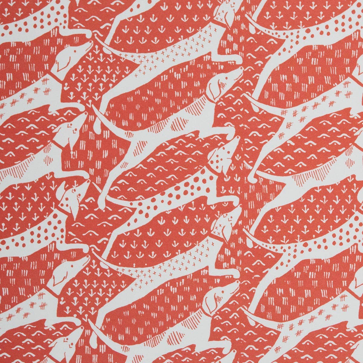 Cambridge Imprint – wholesale Omslagspapper – Mönstrat papper med hundar2