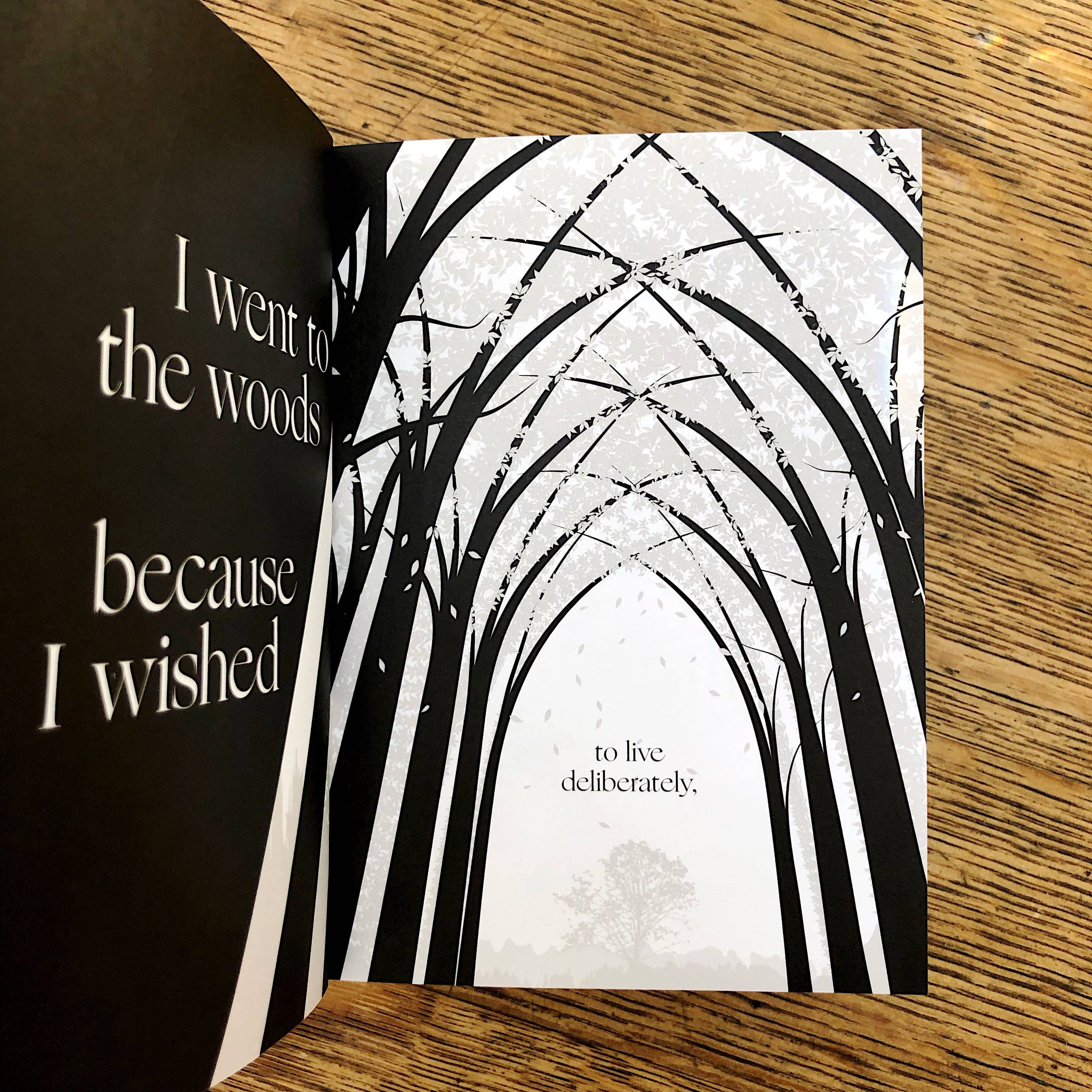 Obvious State - Venta al por mayor Display Book - Henry David Thoreau, Libro ilustrado6