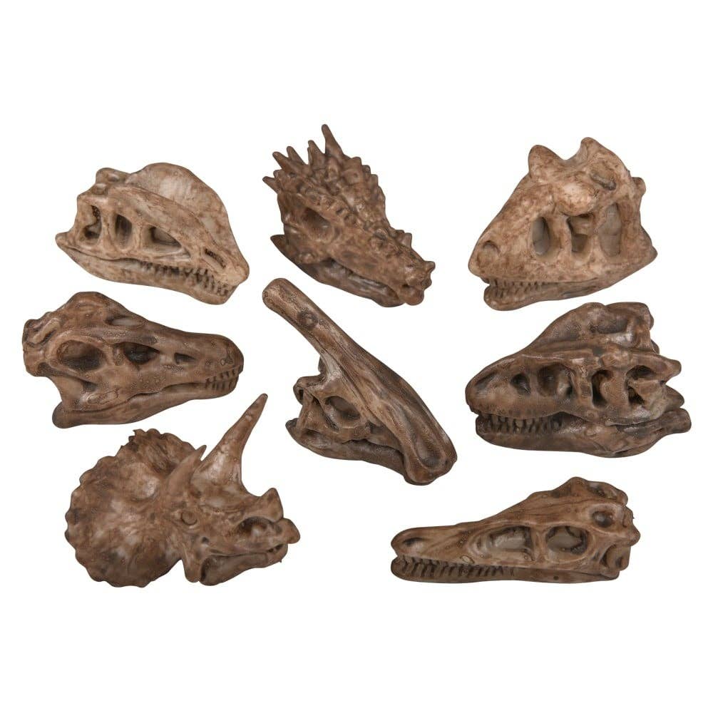 La Luna Bella - Toys – Lápis por atacado – Toppers para lápis de 5 cm com fósseis de dinossauros La Luna Bella1