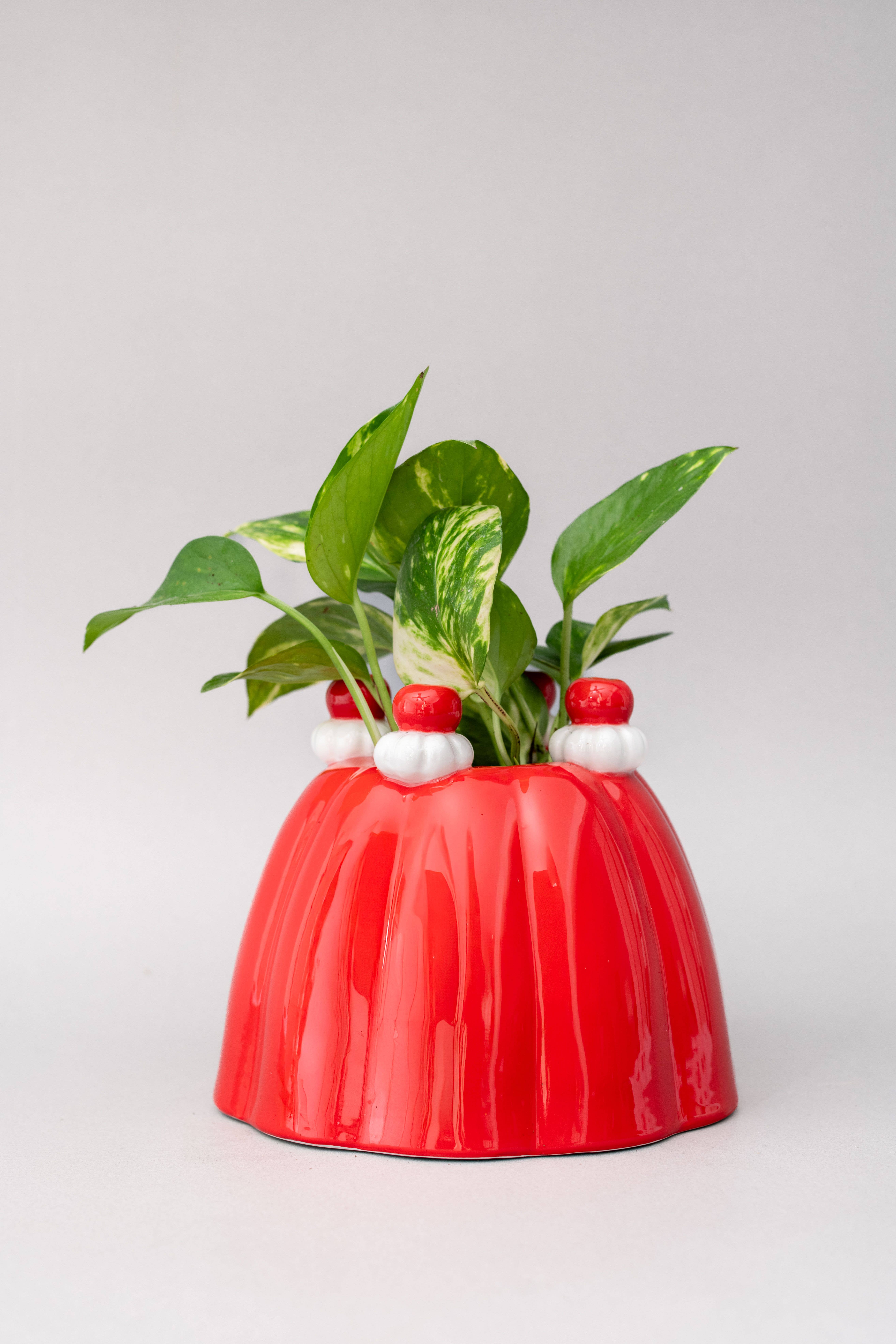 Ban.do - Vente Vases - Vase en céramique, Gelée5