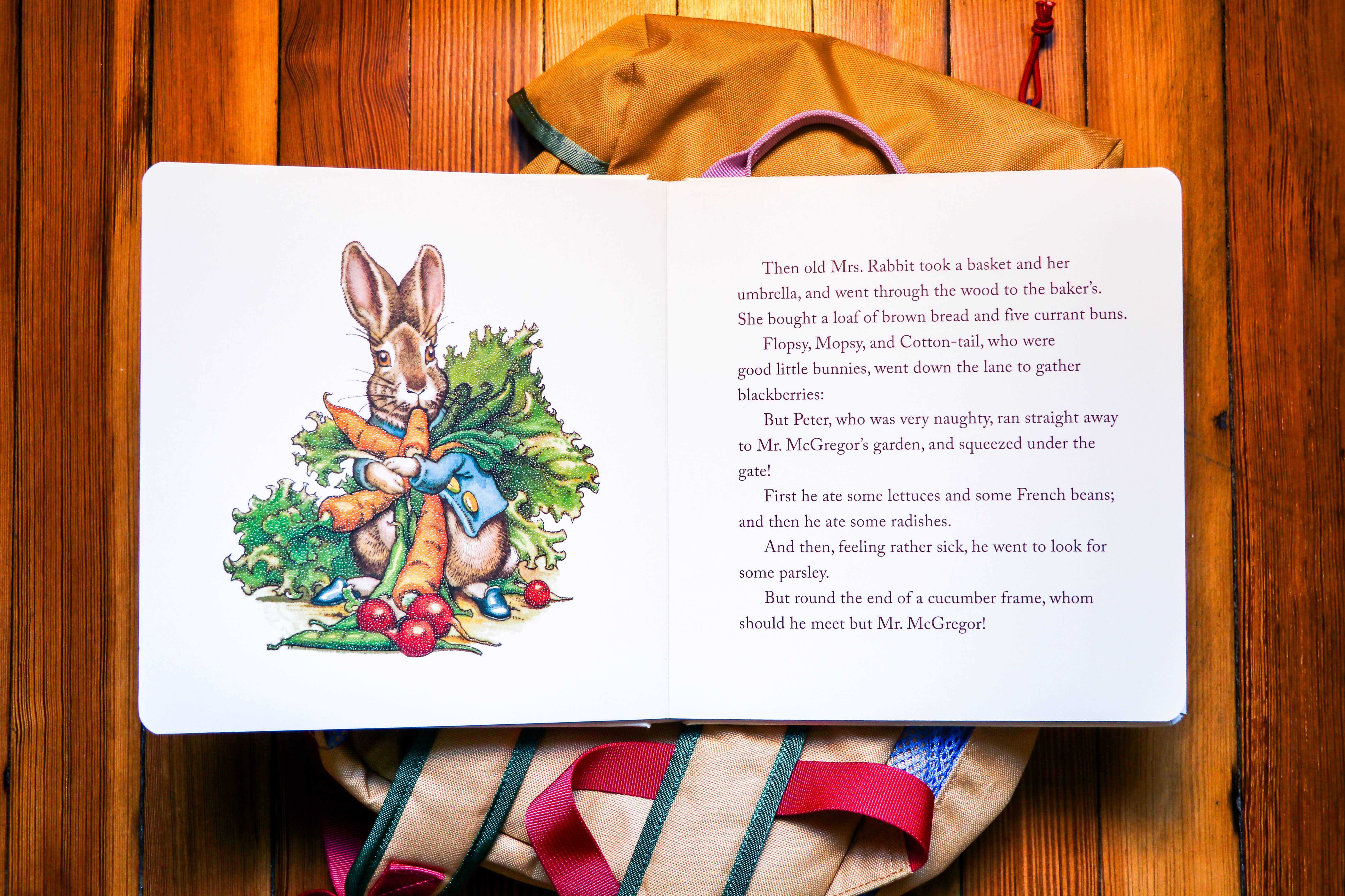 HarperCollins Focus - Wholesale Baby & Toddler Book (0-2) - The Classic Tale of Peter Rabbit Board Book: Revised Ed9