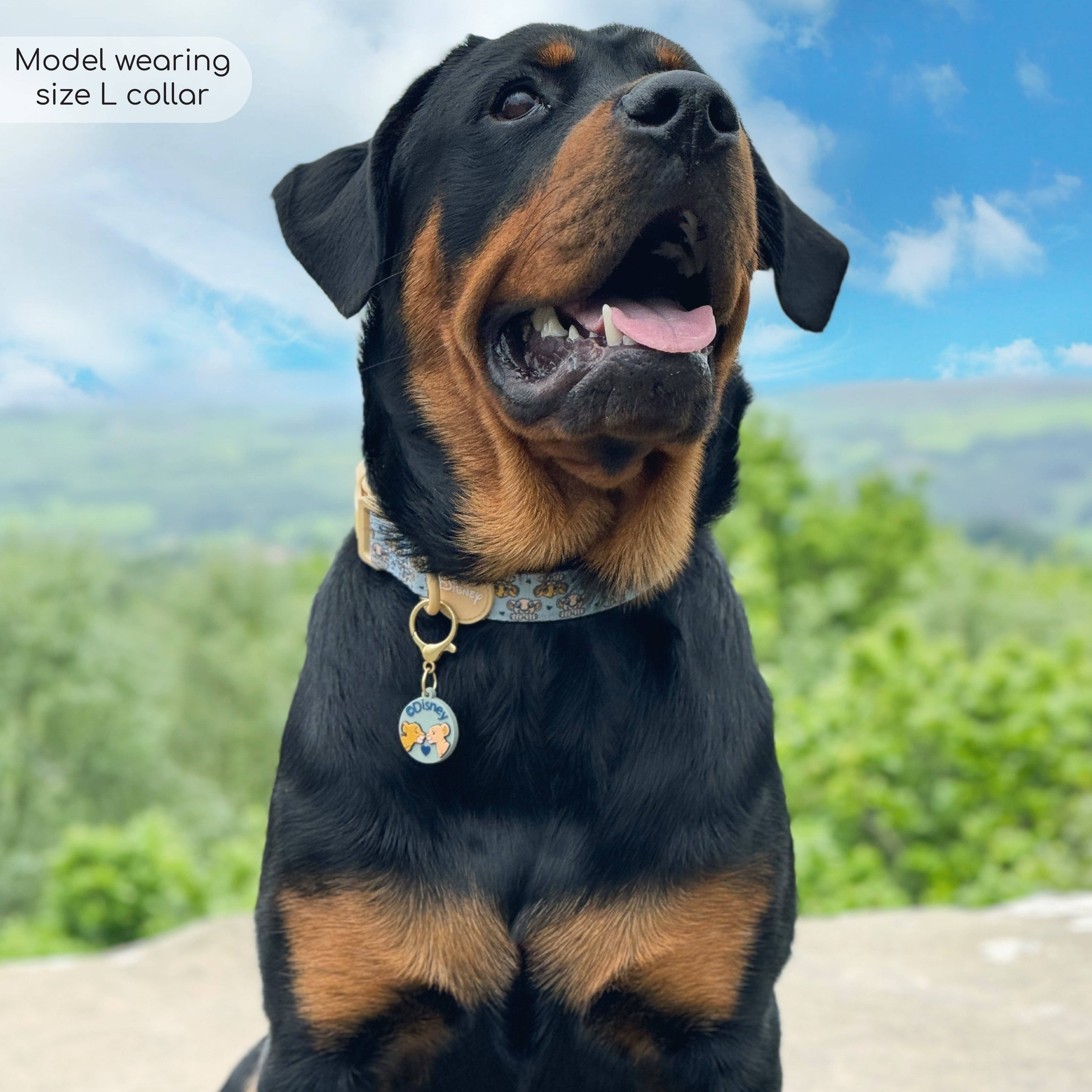 Pawsome Paws - Vendita all'ingrosso Collare - Cani - Collare Disney© - Amici del leone11