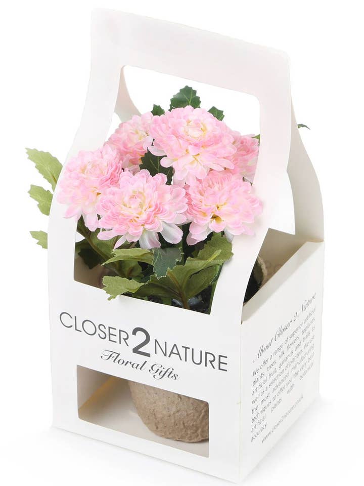 Kunstig 18 cm lyserød krysantemumplante med gaveæske for engroshandel hos Closer2Nature
