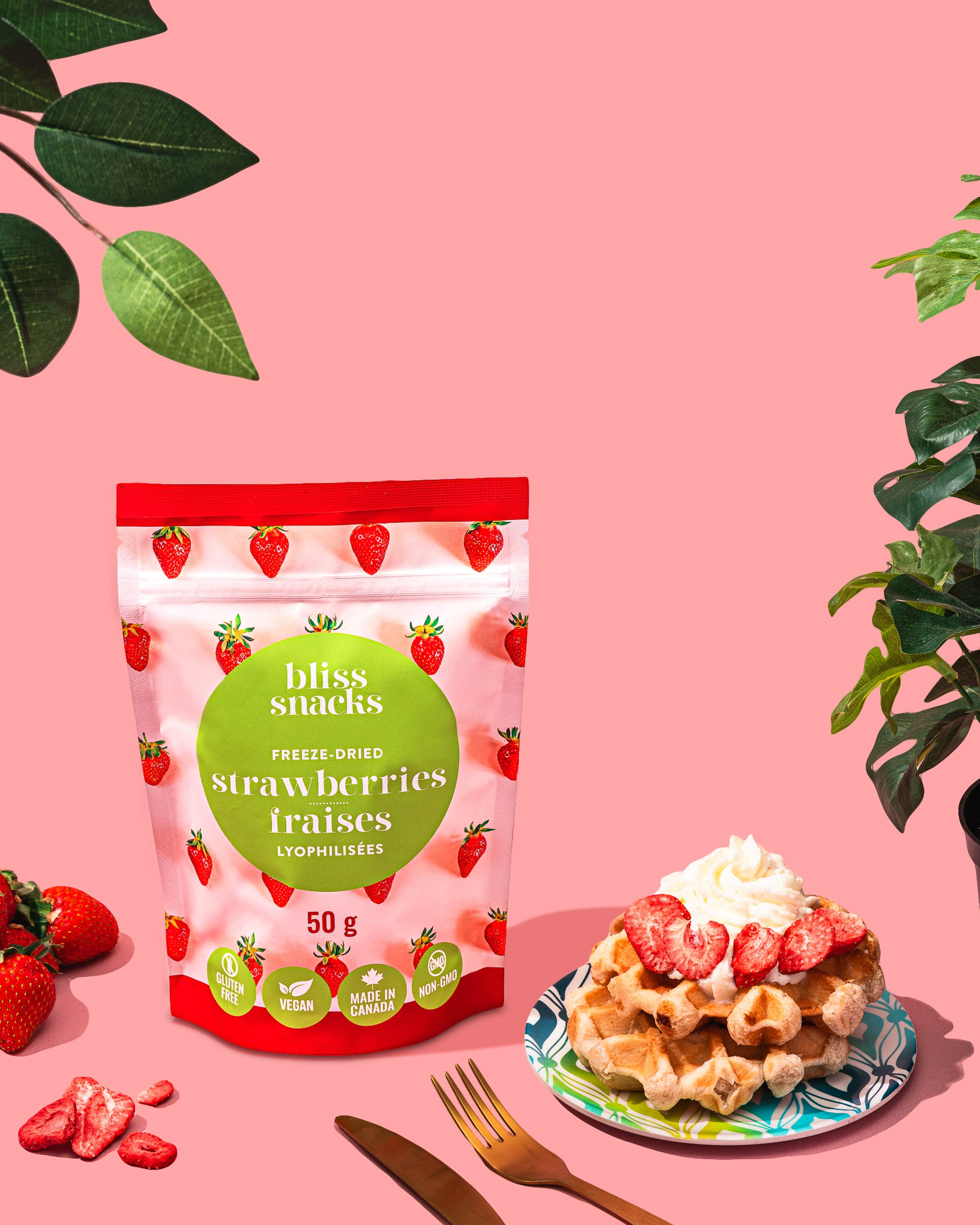 Bliss Dough - Wholesale Dried/Dehydrated Fruit - Freeze-Dried Strawberry Slices2