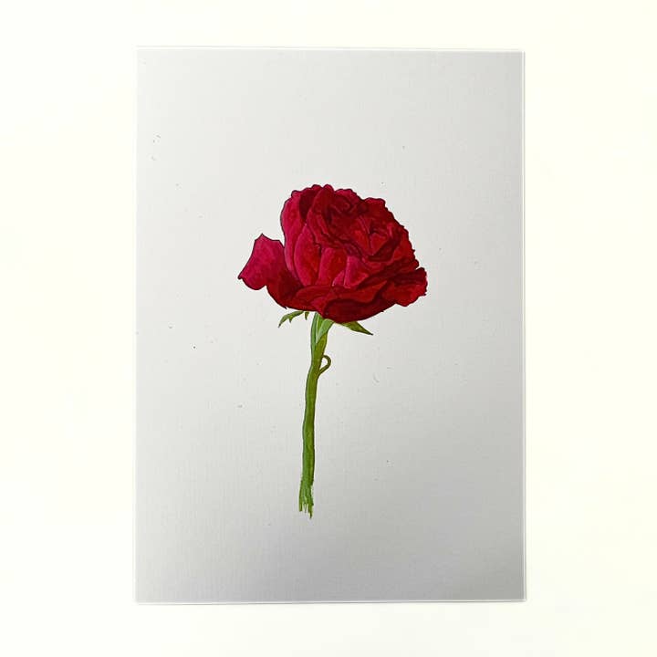 Art print 'Red Rose' for wholesale by studio Pronckstuk
