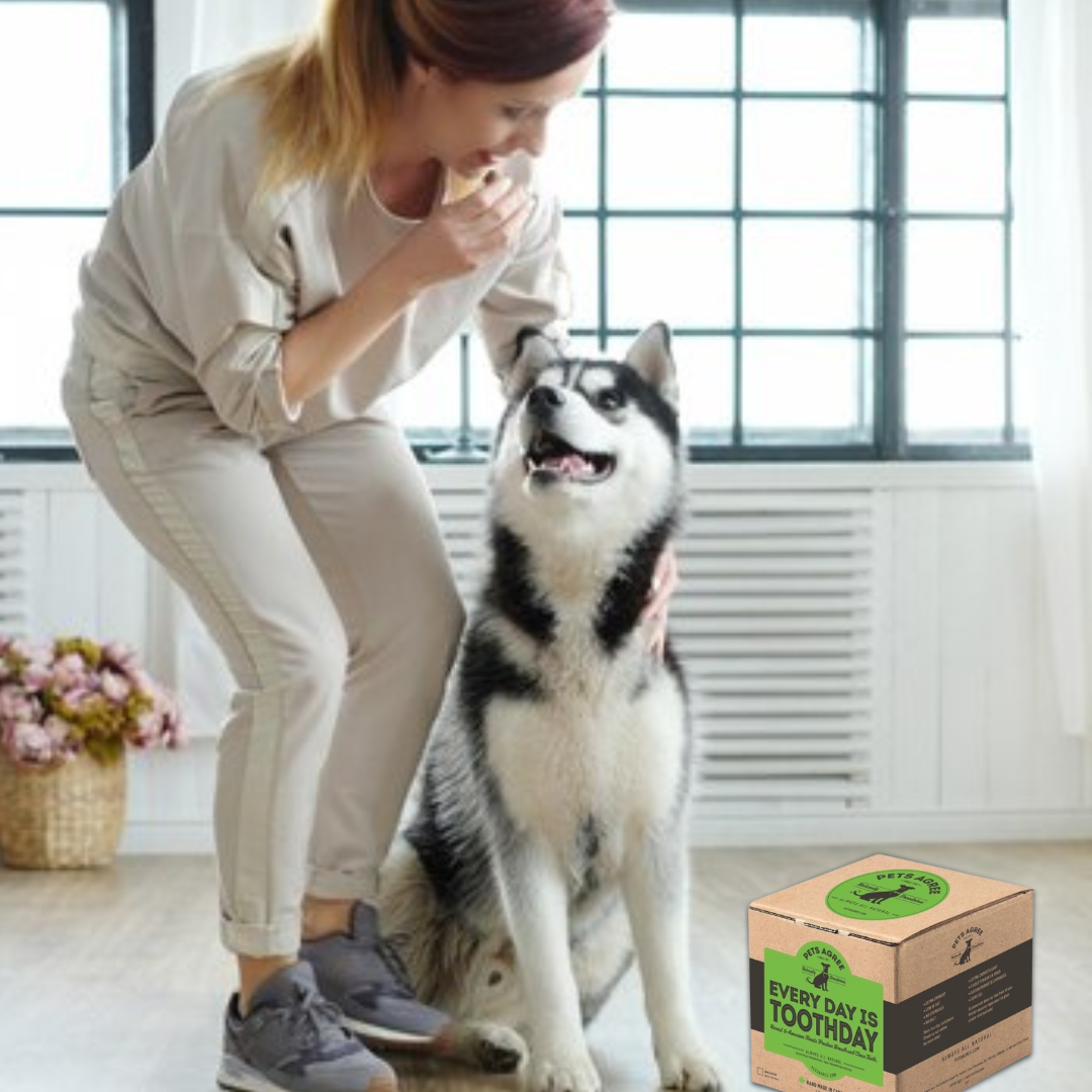 The Granville Island Pet Treatery (USA) - Wholesale Pet Treats - Dog - Mint & Parsley Regular Dog Biscuit Treats: Fresh Breath  2lb3