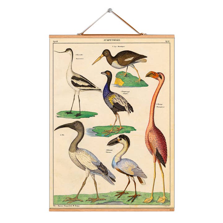 Scroll picture illustration # 015/Oken/ Swamp birds for wholesale by Eicie