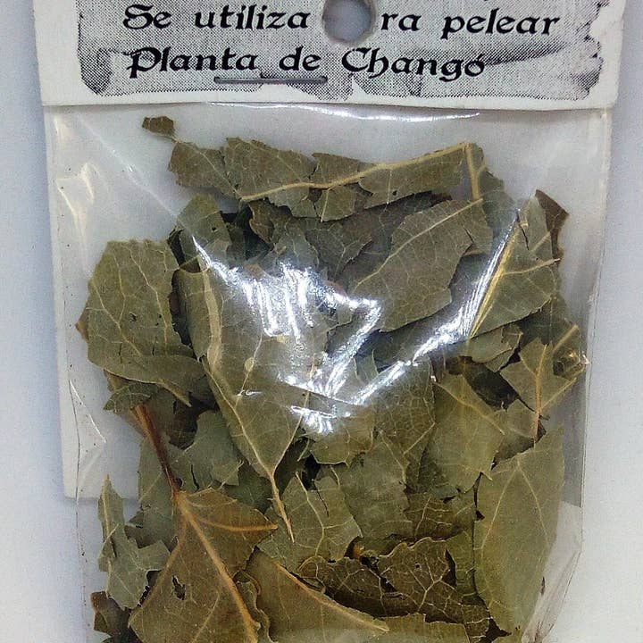 El Alquimista – wholesale Herbs – MAMEY GRASS