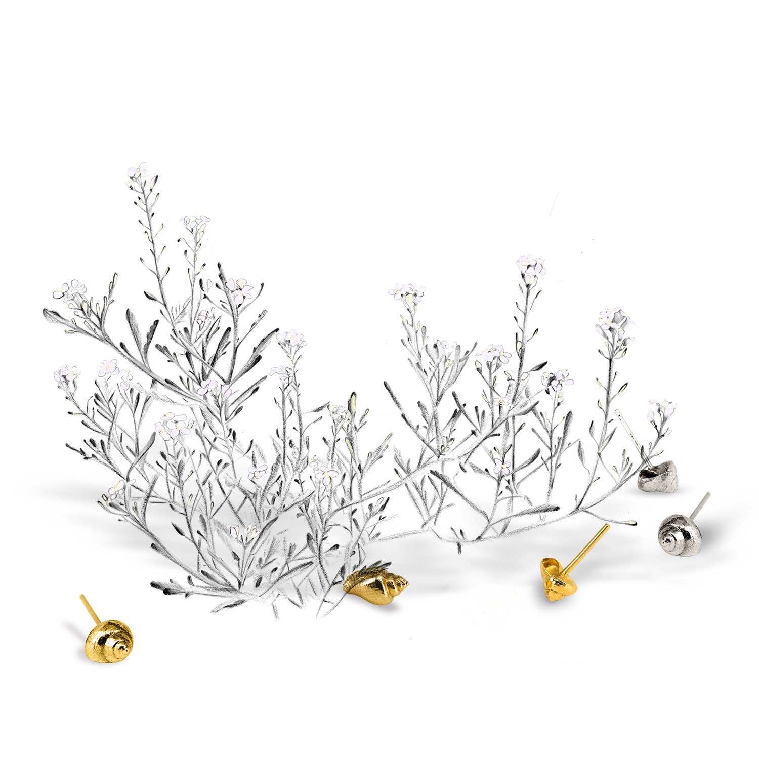 A MAR LIBRE - Venta al por mayor Pendientes de botón/aretes de poste - Caracoles y conchas de la bahía, aretes en plata de ley o plata vermeil2