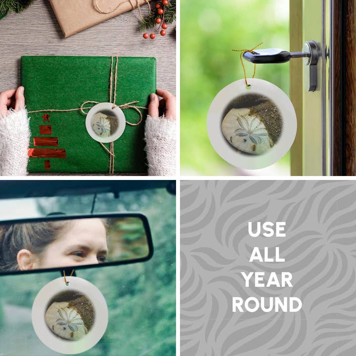 3dRose - Wholesale Ornament - 3dRose, California, Morro Bay. Sand dollar on Morro Strand State Beach., Ornament4