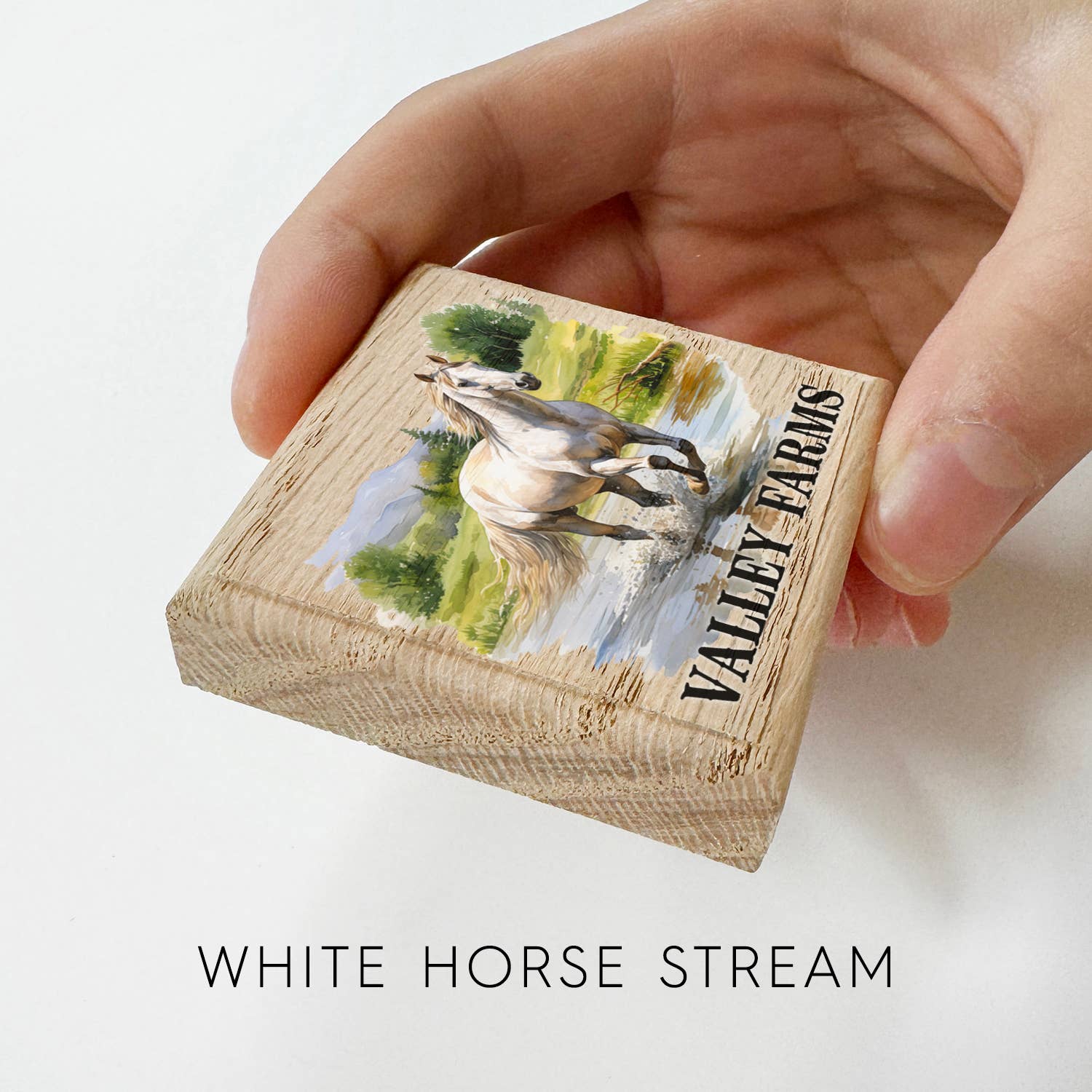 Hangout Home - Vendita all'ingrosso Calamite - Calamite per Frigorifero in Legno con Cavallo ad Acquerello Personalizzato8