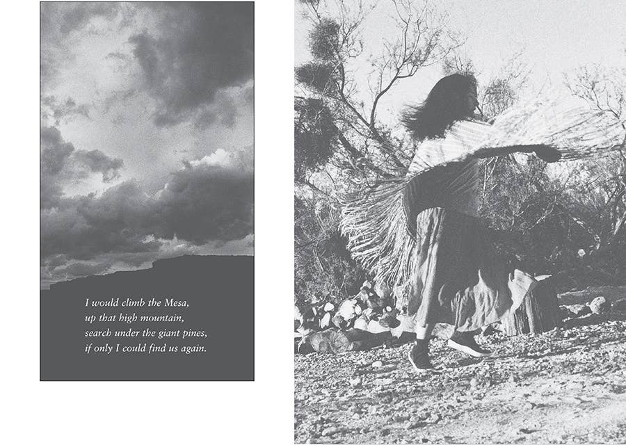 Lee & Low Books Inc - Wholesale Biography & Memoir - Rattlesnake Mesa: Stories from a Native American Childhood1