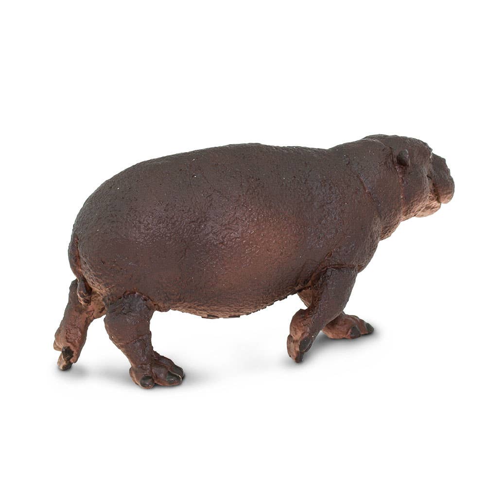 Safari Ltd. - Wholesale Figurine Toy - Kids - Pygmy Hippo - 2292292
