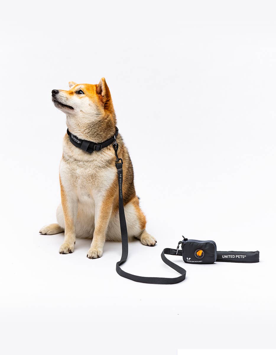 United Pets - Wholesale Hondenriem - Hond - Zachte hondenriem met gewatteerd handvat19
