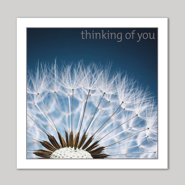 Tarjeta de felicitación de diente de león para venta al por mayor de Icon